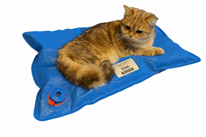 VM1 Veterinary Vacuum Positioning Pad in Use