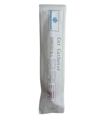 Cat catheter Back view