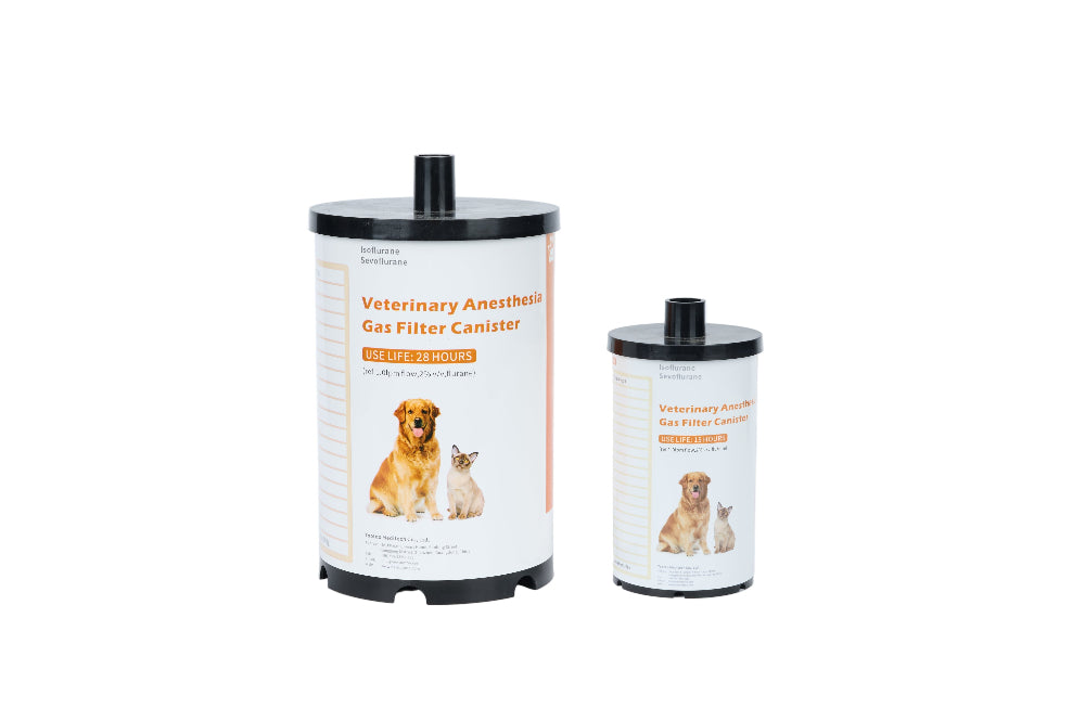 Disposable Gas Filter Canister