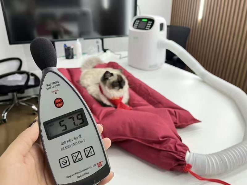 Veterinary respiratory monitoring and airway management tools