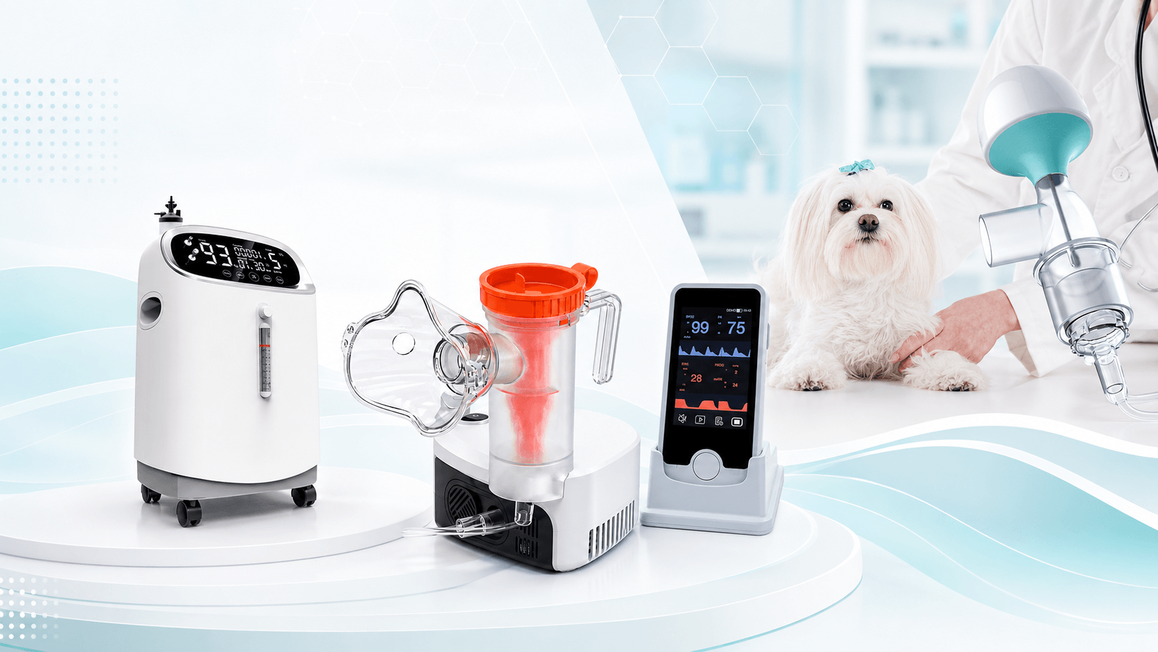 How to choose veterinary anesthesia equipment guide